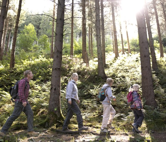 Unterwegs auf dem Wildnis-Trail, © Eifel Tourismus GmbH, Tobias Vollmer