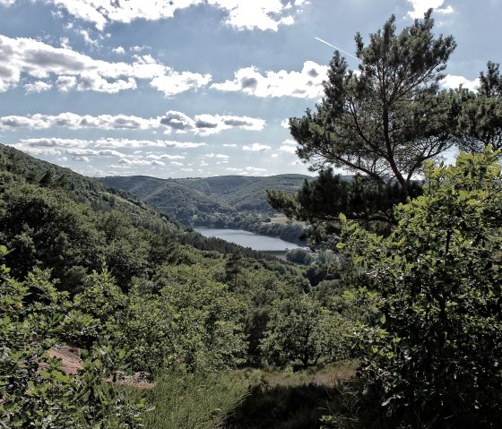 Ausblick auf der Buntsandsteinroute, © Rureifel-Tourismus e.V., Dennis Winands