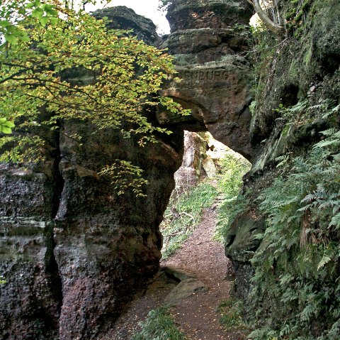 Auf der Buntsandsteinroute stößt man auf das Hindenburg Tor, © Ulrich Laube