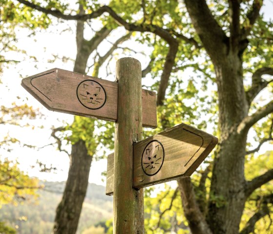 Panneau indicateur du Wildnis-Trail, © Eifel Tourismus GmbH, Dominik Ketz