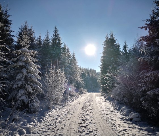 Magie de l'hiver