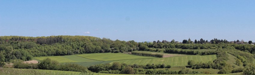 Wandern durch die Bördelandschaft