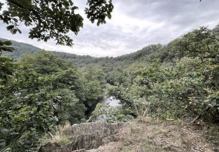 Ausblick auf die Rur, © Rureifel-Tourismus e.V., Michelle Wiesen