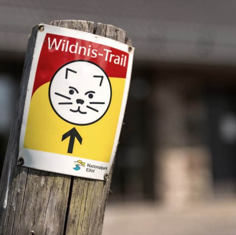 Wildnis-Trail Symbol, © Eifel-Tourismus GmbH, Dominik Ketz