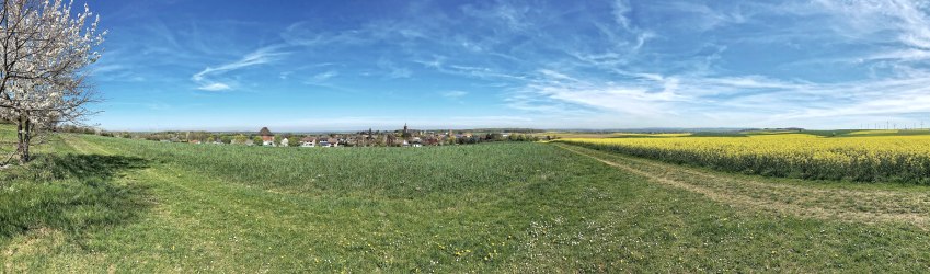 Bördeblick in Wollersheim